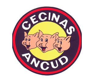 Cecinas Ancud